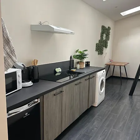 La Jungle Apartment Troyes