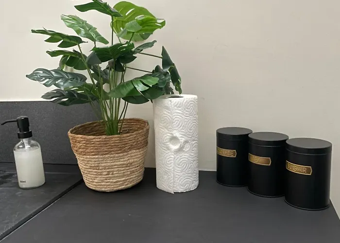 La Jungle - Hyper Centre - Proche Gare Appartement *